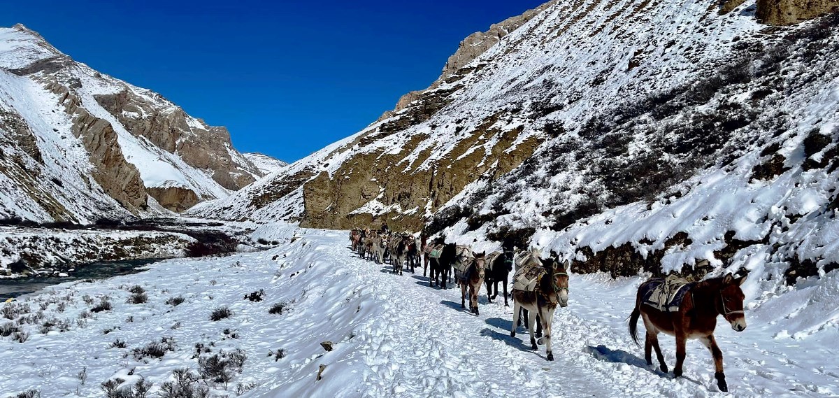 Morimla border checkpoint in Upper Dolpa to remain open for 20 days